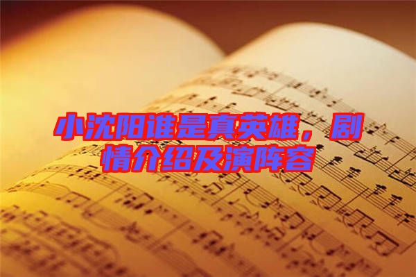 小沈陽誰是真英雄，劇情介紹及演陣容
