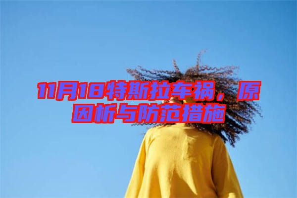 11月18特斯拉車禍，原因析與防范措施