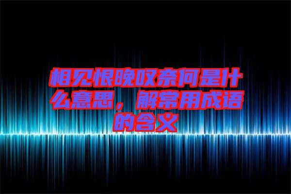 相見(jiàn)恨晚嘆奈何是什么意思，解常用成語(yǔ)的含義