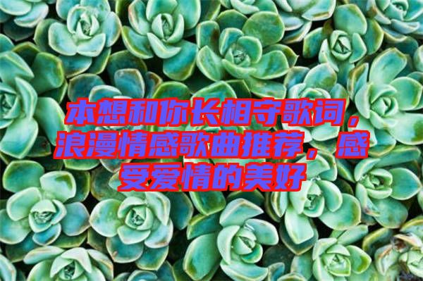 本想和你長(zhǎng)相守歌詞，浪漫情感歌曲推薦，感受愛(ài)情的美好