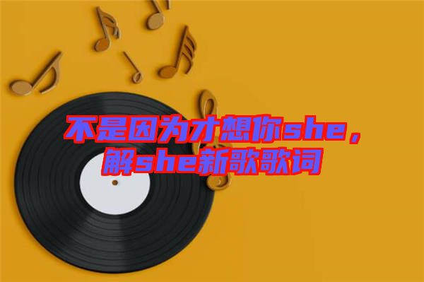 不是因?yàn)椴畔肽鉺he，解she新歌歌詞
