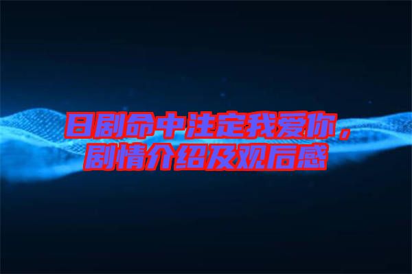 日劇命中注定我愛你，劇情介紹及觀后感