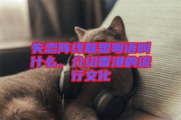 失戀陣線聯(lián)盟粵語叫什么，介紹香港的流行文化