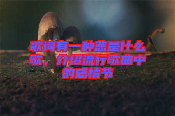 歌詞有一種悲是什么歌，介紹流行歌曲中的感情節(jié)