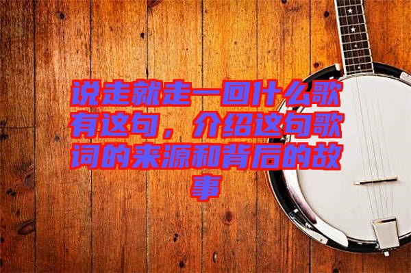 說走就走一回什么歌有這句，介紹這句歌詞的來源和背后的故事