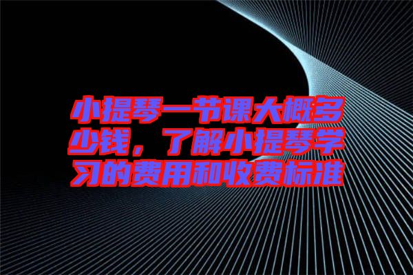 小提琴一節(jié)課大概多少錢，了解小提琴學習的費用和收費標準