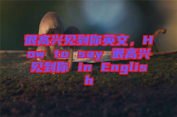 很高興見(jiàn)到你英文，How to say 很高興見(jiàn)到你 in English