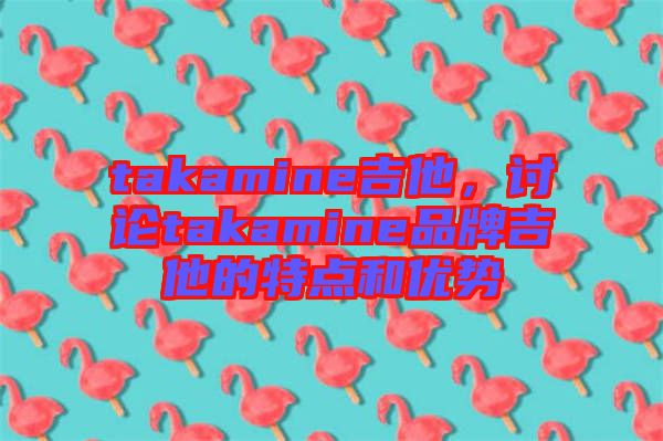 takamine吉他，討論takamine品牌吉他的特點和優(yōu)勢