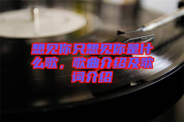 想見你只想見你是什么歌，歌曲介紹及歌詞介紹