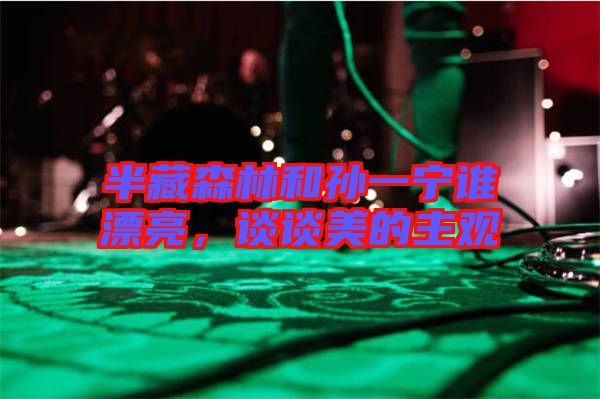 半藏森林和孫一寧誰漂亮，談?wù)劽赖闹饔^