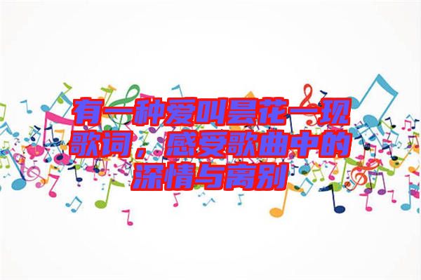 有一種愛(ài)叫曇花一現(xiàn)歌詞，感受歌曲中的深情與離別