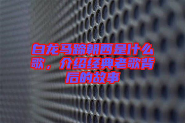 白龍馬蹄朝西是什么歌，介紹經(jīng)典老歌背后的故事