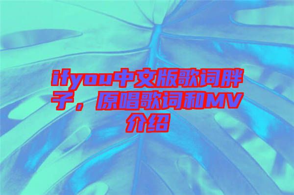 ifyou中文版歌詞胖子，原唱歌詞和MV介紹