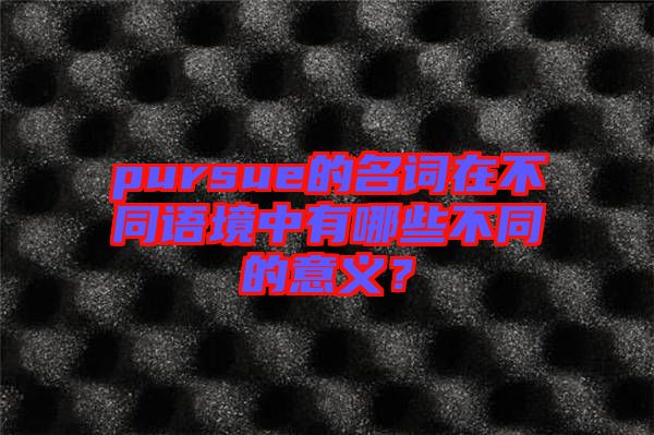 pursue的名詞在不同語境中有哪些不同的意義？