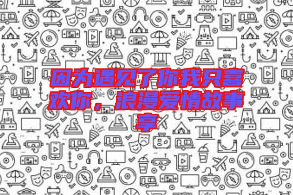 因?yàn)橛鲆?jiàn)了你我只喜歡你，浪漫愛(ài)情故事享