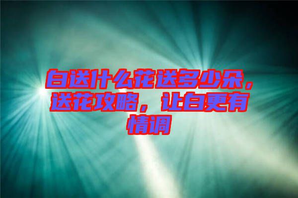 白送什么花送多少朵，送花攻略，讓白更有情調(diào)