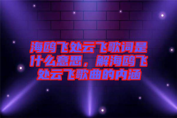 海鷗飛處云飛歌詞是什么意思，解海鷗飛處云飛歌曲的內(nèi)涵