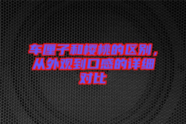 車?yán)遄雍蜋烟业膮^(qū)別，從外觀到口感的詳細(xì)對(duì)比