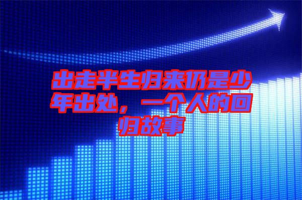 出走半生歸來仍是少年出處，一個(gè)人的回歸故事