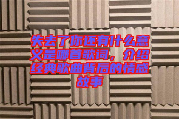 失去了你還有什么意義是哪首歌詞，介紹經(jīng)典歌曲背后的情感故事