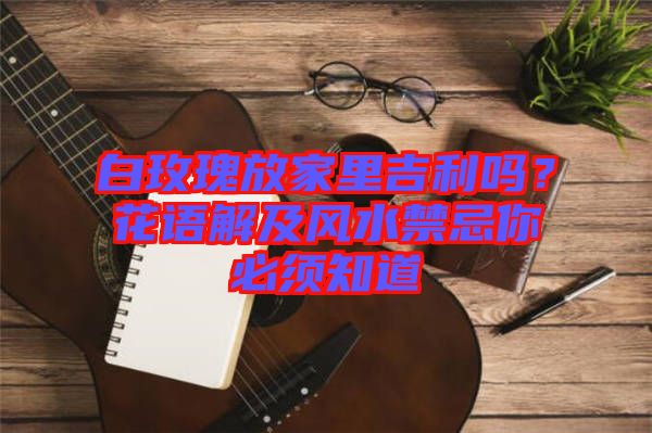 白玫瑰放家里吉利嗎？花語解及風水禁忌你必須知道