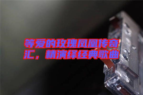 等愛(ài)的玫瑰鳳凰傳奇匯，精演繹經(jīng)典歌曲