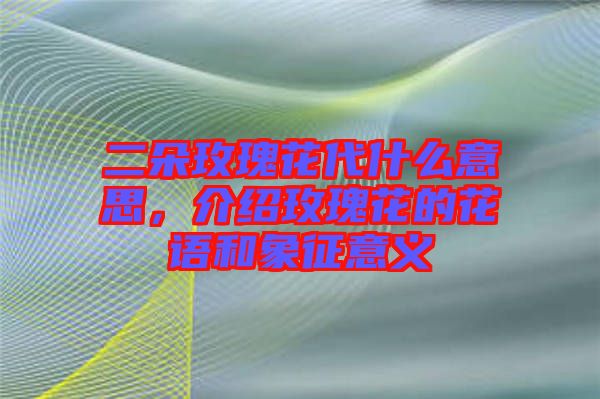 二朵玫瑰花代什么意思，介紹玫瑰花的花語(yǔ)和象征意義