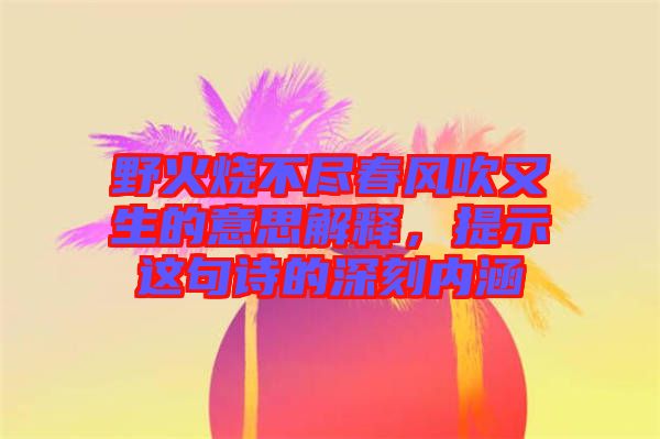 野火燒不盡春風(fēng)吹又生的意思解釋，提示這句詩的深刻內(nèi)涵
