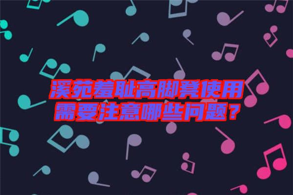 溪苑羞恥高腳凳使用需要注意哪些問題？