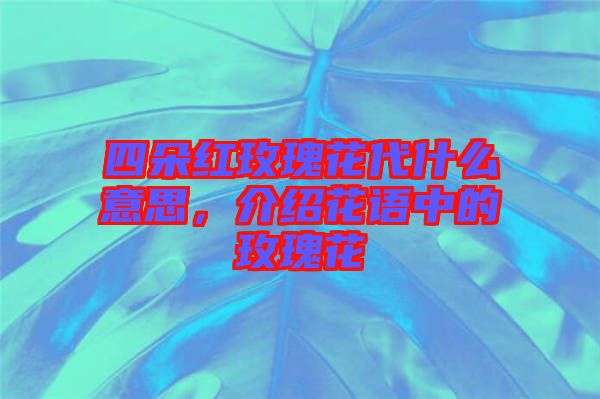 四朵紅玫瑰花代什么意思，介紹花語中的玫瑰花
