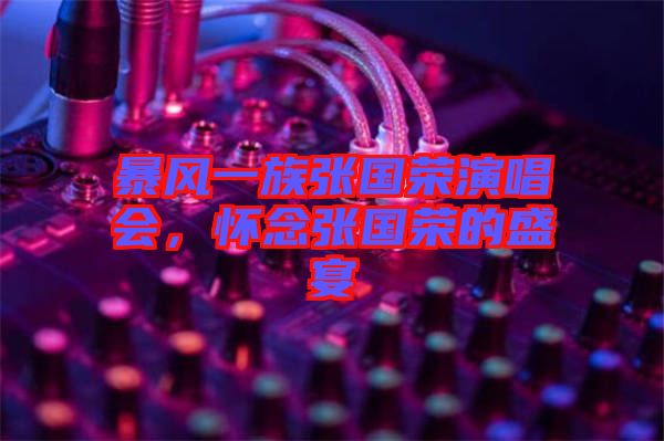 暴風(fēng)一族張國(guó)榮演唱會(huì)，懷念張國(guó)榮的盛宴