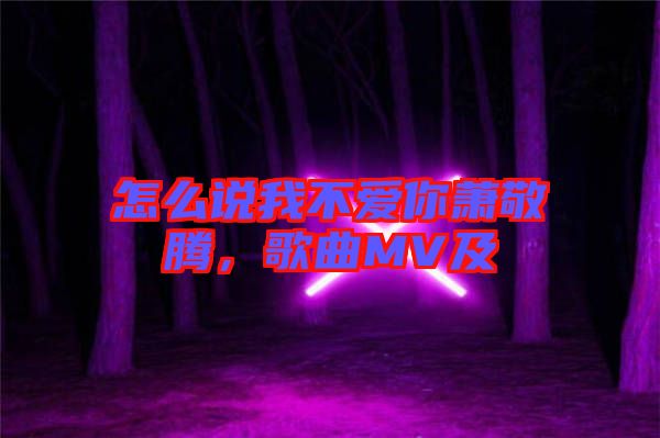 怎么說我不愛你蕭敬騰，歌曲MV及