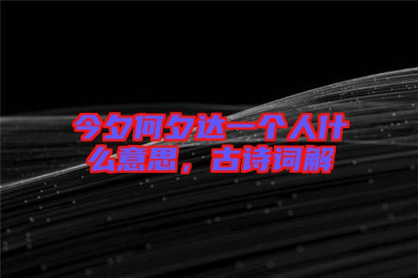 今夕何夕達(dá)一個人什么意思，古詩詞解