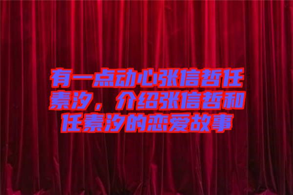 有一點動心張信哲任素汐，介紹張信哲和任素汐的戀愛故事