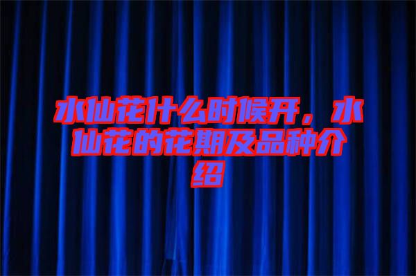 水仙花什么時候開，水仙花的花期及品種介紹