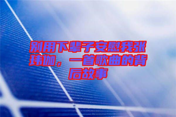 別用下輩子安慰我張瑋伽，一首歌曲的背后故事
