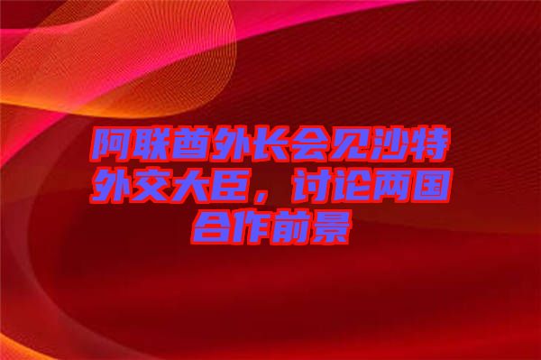 阿聯(lián)酋外長(zhǎng)會(huì)見沙特外交大臣，討論兩國(guó)合作前景