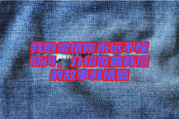 我的柔情你永遠不懂歌詞，介紹歌曲背后的故事和情感