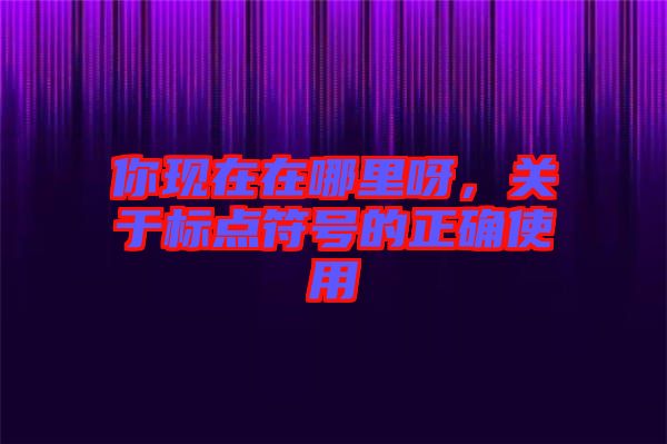 你現(xiàn)在在哪里呀，關(guān)于標點符號的正確使用