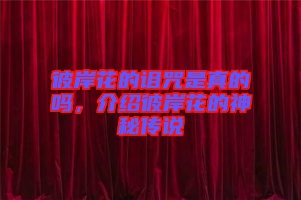 彼岸花的詛咒是真的嗎，介紹彼岸花的神秘傳說