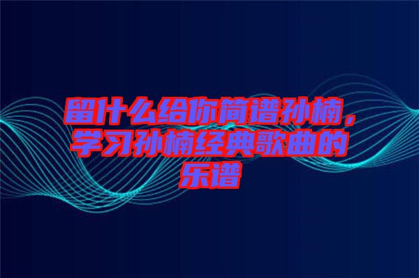 留什么給你簡譜孫楠，學習孫楠經(jīng)典歌曲的樂譜