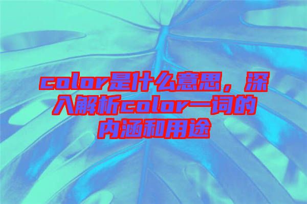 color是什么意思，深入解析color一詞的內涵和用途