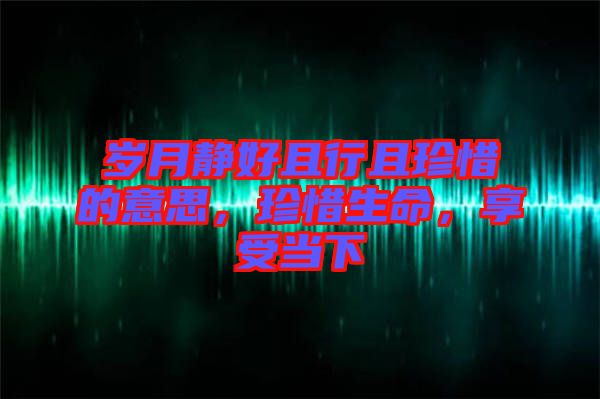 歲月靜好且行且珍惜的意思，珍惜生命，享受當下