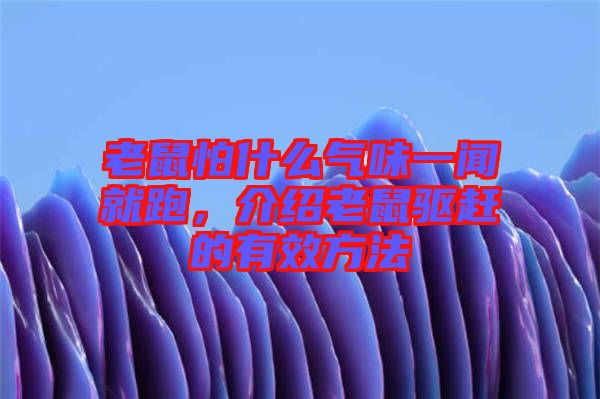 老鼠怕什么氣味一聞就跑，介紹老鼠驅(qū)趕的有效方法