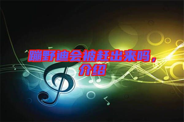 蹦野迪會(huì)被趕出來嗎，介紹
