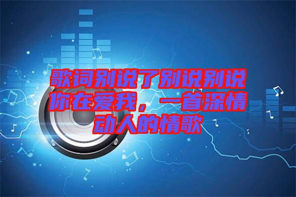 歌詞別說了別說別說你在愛我，一首深情動(dòng)人的情歌