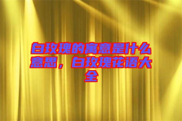 白玫瑰的寓意是什么意思，白玫瑰花語大全
