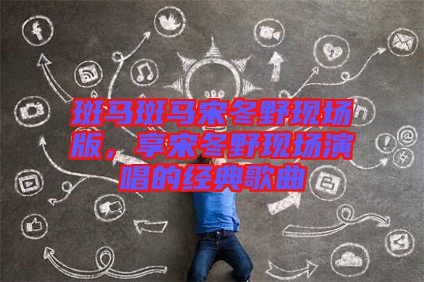 斑馬斑馬宋冬野現(xiàn)場版，享宋冬野現(xiàn)場演唱的經(jīng)典歌曲