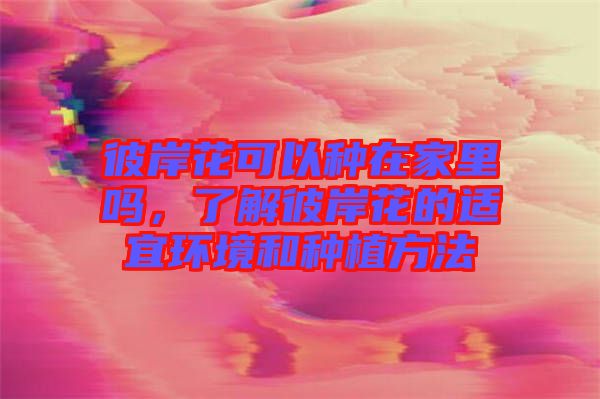 彼岸花可以種在家里嗎，了解彼岸花的適宜環(huán)境和種植方法