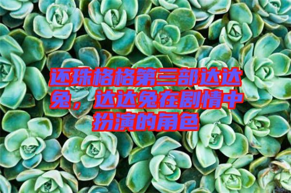 還珠格格第三部達(dá)達(dá)兔，達(dá)達(dá)兔在劇情中扮演的角色